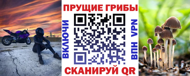 Галлюциногенные грибы мухоморы  Воркута 